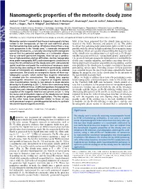 Nanomagnetic Properties of the Meteorite Cloudy Zone