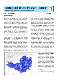 2018 Newsletter 19