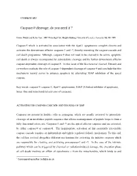 Caspase-9 Cleavage, Do You Need It ?