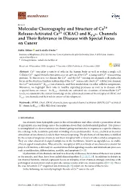 CRAC) and Kca2+ Channels and Their Relevance in Disease with Special Focus on Cancer
