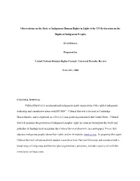 Observations on the State of Indigenous Human Rights in Light of the UN Declaration on The