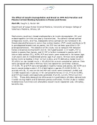 The Effect of Insulin Dysregulation and Breed on HPA Axis Function and Plasma Cortisol Binding Dynamics in Ponies and Horses