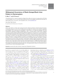 Widespread Occurrence of Black-Orange-Black Color Pattern in Hymenoptera