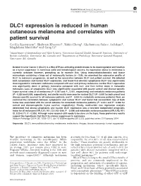 DLC1 Expression Is Reduced in Human Cutaneous Melanoma And