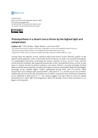 Photosynthesis in a Desert Tree Is Driven by the Highest Light and Temperature