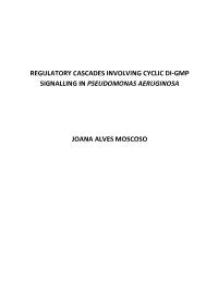Regulatory Cascades Involving Cyclic Di-Gmp Signalling in Pseudomonas Aeruginosa