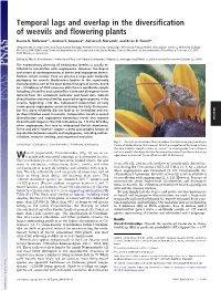 Temporal Lags and Overlap in the Diversification of Weevils and Flowering Plants