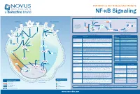 Pathways & Key Molecular Targets