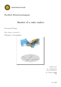 Shadow of a Cubic Surface