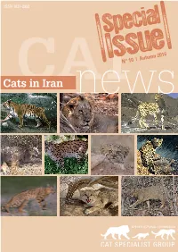 Baseline Information and Status Assessment of the Pallas's Cat in Iran