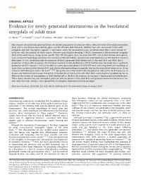 Evidence for Newly Generated Interneurons in the Basolateral Amygdala of Adult Mice