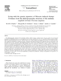 Living with the Genetic Signature of Miocene Induced Change: Evidence from the Phylogeographic Structure of the Endemic Angulate Tortoise Chersina Angulata