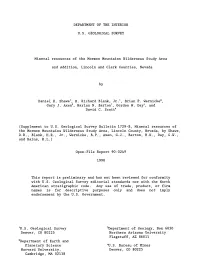 Mineral Resources of the Mormon Mountains Wilderness Study Area
