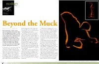Beyond the Muck