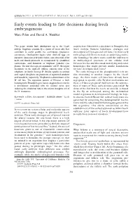 Early Events Leading to Fate Decisions During Leech Embryogenesis Marc Pilon and David A