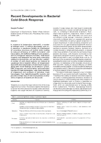 Recent Developments in Bacterial Cold-Shock Response