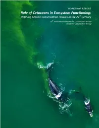 Role of Cetaceans in Ecosystem Functioning