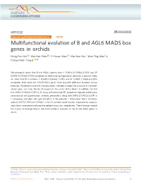 Multifunctional Evolution of B and AGL6 MADS Box Genes in Orchids