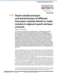 Peach Volatile Emission and Attractiveness of Different Host Plant