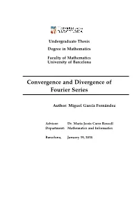 Convergence and Divergence of Fourier Series