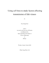 Using Cell Lines to Study Factors Affecting Transmission of Fish Viruses