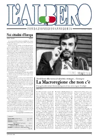 Albero (Numero 1)