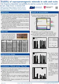 Stability of Superparamagnetic Minerals in Soils and Rocks 0.5Ex