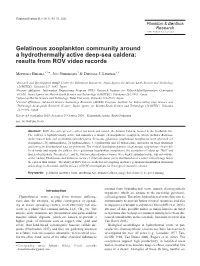 Gelatinous Zooplankton Community Around a Hydrothermally Active Deep-Sea Caldera: Results from ROV Video Records