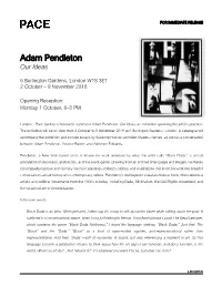 Adam Pendleton Our Ideas