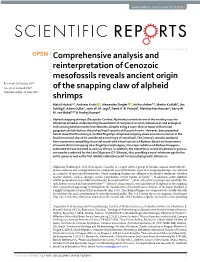 Comprehensive Analysis and Reinterpretation of Cenozoic