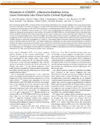 Mutations in LOXHD1, a Recessive-Deafness Locus, Cause Dominant Late-Onset Fuchs Corneal Dystrophy
