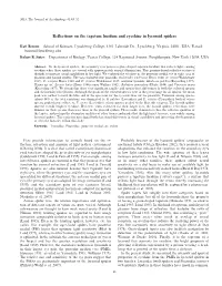 Reflections on the Tapetum Lucidum and Eyeshine in Lycosoid Spiders