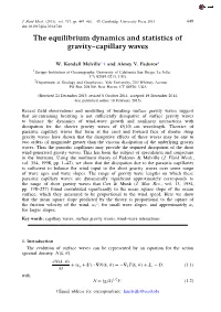 The Equilibrium Dynamics and Statistics of Gravity–Capillary Waves