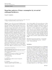 Deep-Time Patterns of Tissue Consumption by Terrestrial Arthropod Herbivores