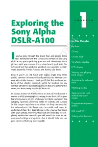 Exploring the Sony Alpha DSLR-A100 15