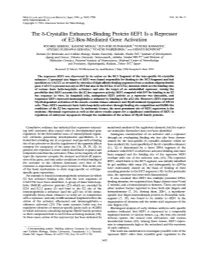 The 8-Crystallin Enhancer-Binding Protein 6EF1 Is a Repressor of E2