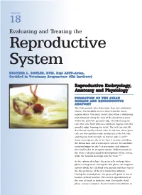Evaluating and Treating the Reproductive System