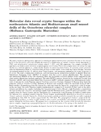 Molecular Data Reveal Cryptic Lineages Within the Northeastern Atlantic And