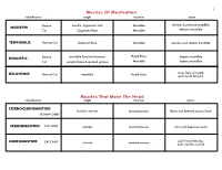 Muscles of Mastication Muscles That Move the Head