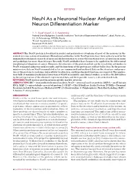 Neun As a Neuronal Nuclear Antigen and Neuron Differentiation Marker