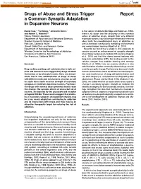 Report Drugs of Abuse and Stress Trigger a Common Synaptic Adaptation in Dopamine Neurons