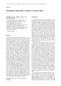 Afrotherian Mammals: a Review of Current Data