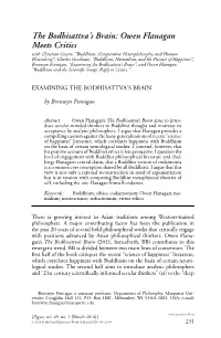 Examining the Bodhisattva's Brain