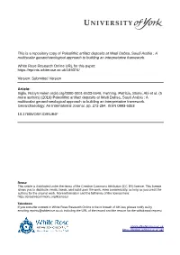 Paleolithic Artifact Deposits at Wadi Dabsa, Saudi Arabia : a Multiscalar Geoarchaeological Approach to Building an Interpretative Framework