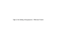 Topic 5: the Folding of Biopolymers – RNA and Protein Overview
