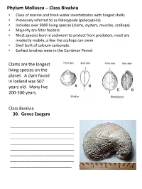 Phylum Mollusca – Class Bivalvia