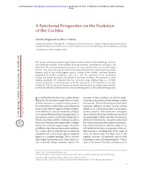 A Functional Perspective on the Evolution of the Cochlea