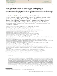 Bringing a Trait‐Based Approach to Plant‐Associated Fungi