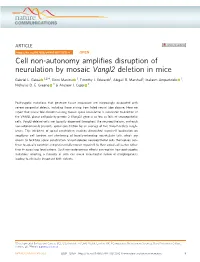 Cell Non-Autonomy Amplifies Disruption of Neurulation by Mosaic