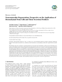 Perspective on the Application of Mesenchymal Stem Cells and Their Secretion Products